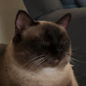 Meet your Posher, Kaylee